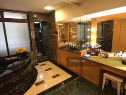 The Balmoral (D10), Condominium #241644751
